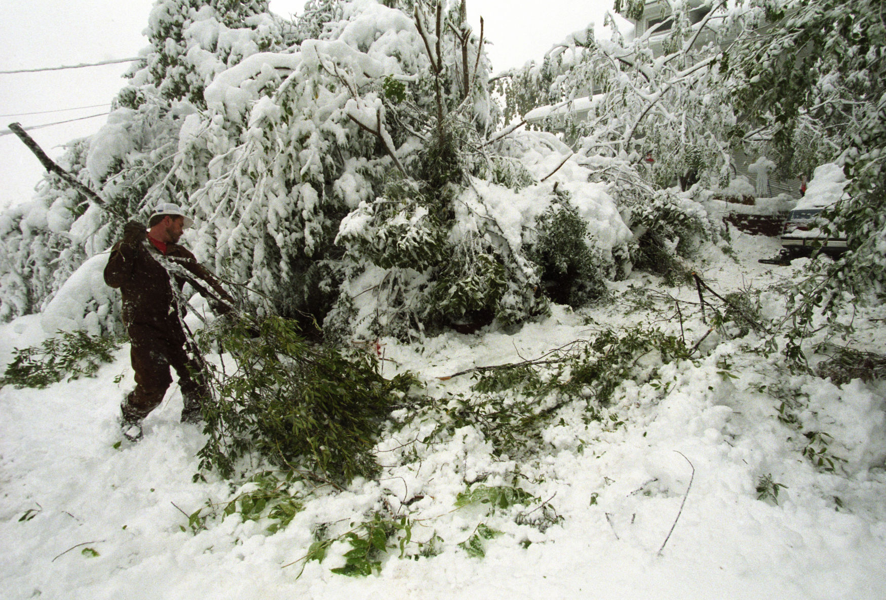 One after another, massive limbs and tree trunks were snapping from the weight of up to 2 feet of sodden snow.